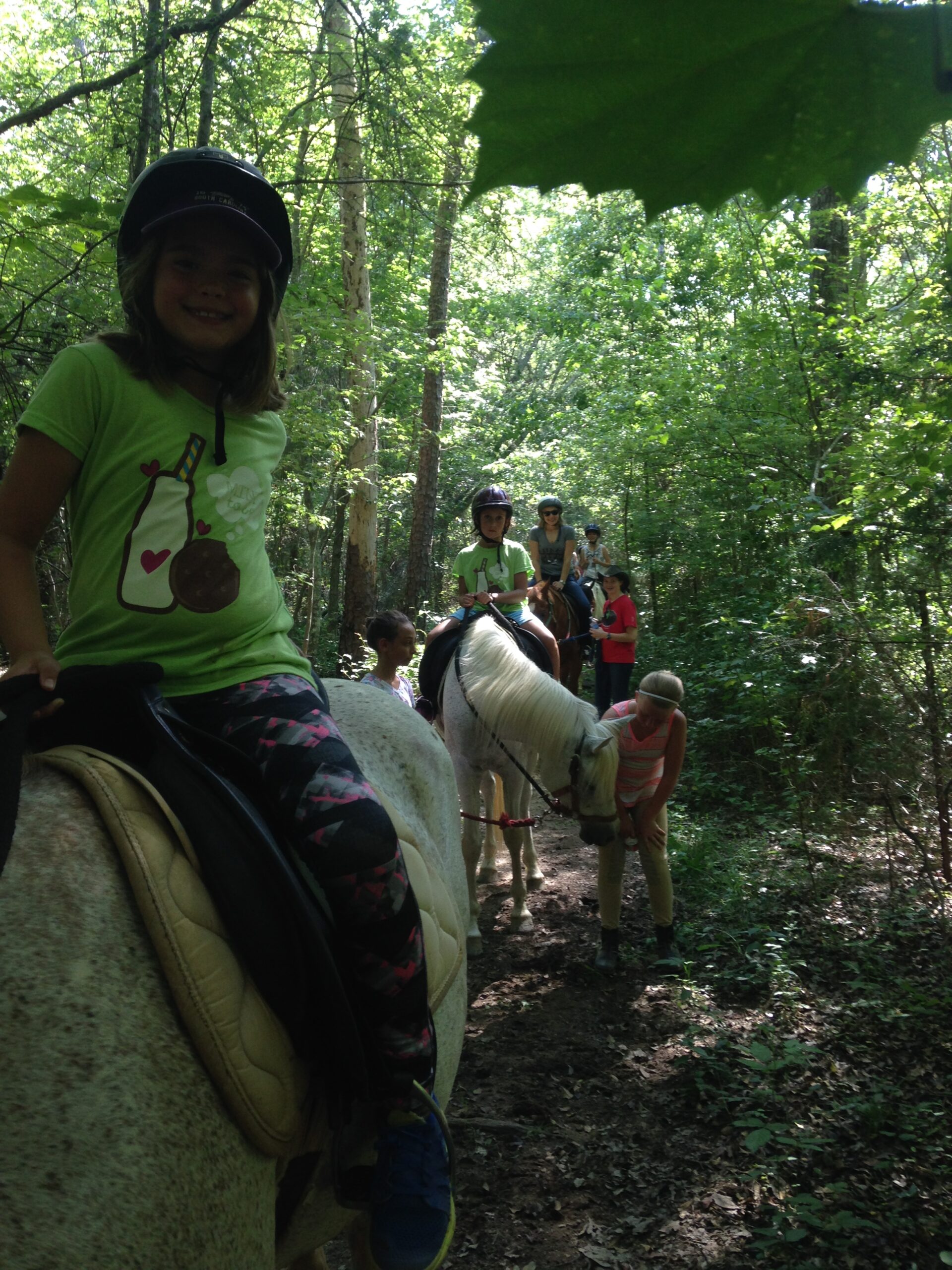 Trail rides, public trail riding, guided public trail rides.